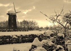 Szary + Sepia