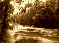 Sepia