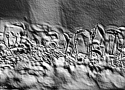 Skamielina