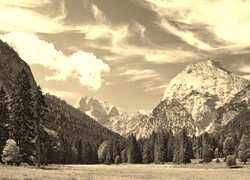 Szary + Sepia