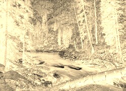 Sepia + Negatyw