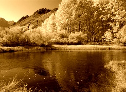 Sepia