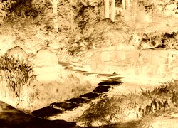 Sepia + Negatyw