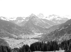 Szary + Sepia