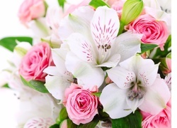 Oryginalny obrazek