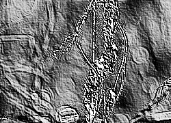Skamielina