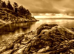 Sepia