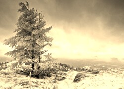 Sepia