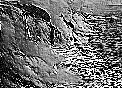 Skamielina