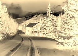 Sepia + Negatyw