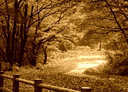 Sepia