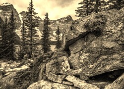 Sepia