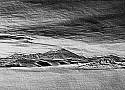 Skamielina