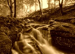 Sepia