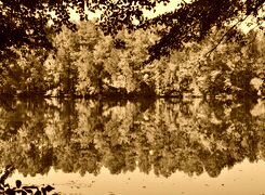 Sepia