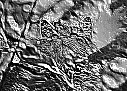 Skamielina