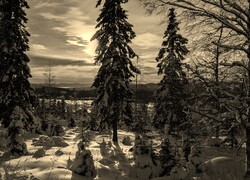 Szary + Sepia