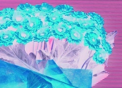 Negatyw