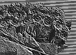 Skamielina
