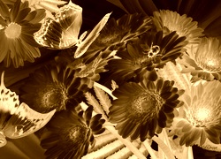 Sepia + Negatyw