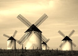 Szary + Sepia