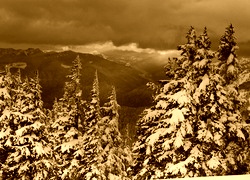 Sepia