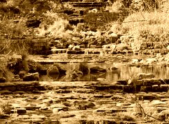 Sepia