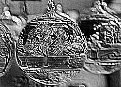 Skamielina