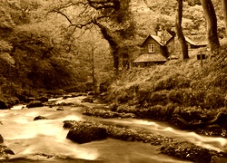Sepia