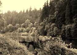 Szary + Sepia