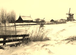 Szary + Sepia
