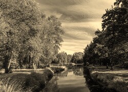 Szary + Sepia