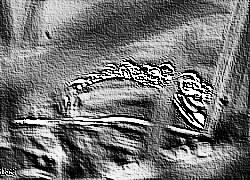 Skamielina