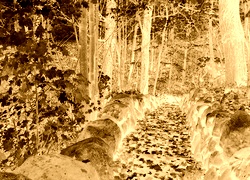 Sepia + Negatyw