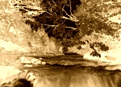 Sepia + Negatyw