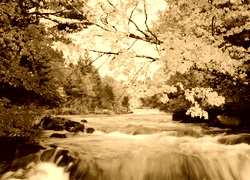 Sepia