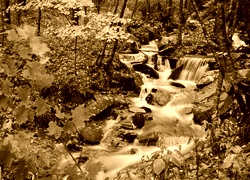 Sepia