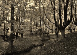 Sepia