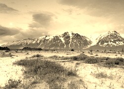 Szary + Sepia