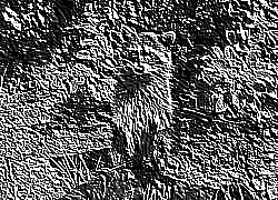 Skamielina