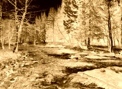 Sepia + Negatyw