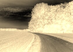 Sepia + Negatyw