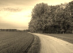 Szary + Sepia