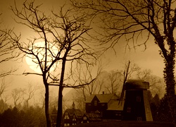 Sepia