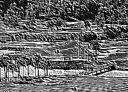 Skamielina