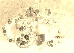 Sepia + Negatyw