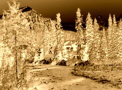 Sepia + Negatyw