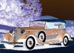 Negatyw