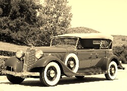 Szary + Sepia