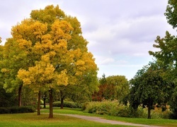 Oryginalny obrazek